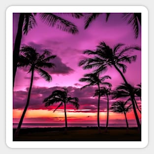 Pink Palm Paradise Tapestry Sticker